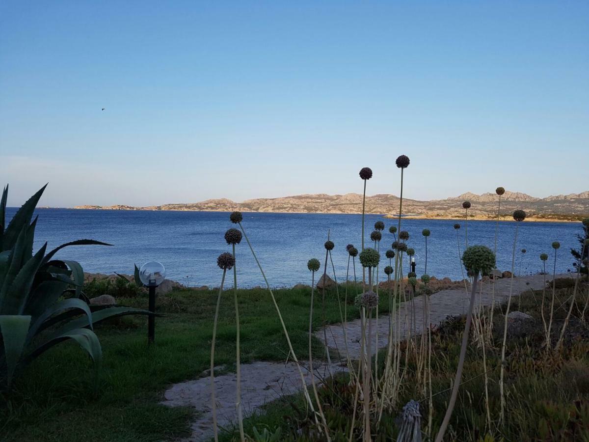 Apartmán Giulianahouse La Maddalena  Exteriér fotografie